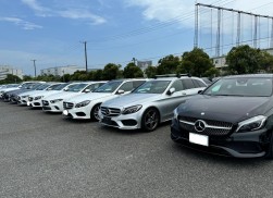 正規ディーラー出品の良質車が並ぶ