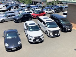 良質車が多数集まり、活発なセリで盛り上がった