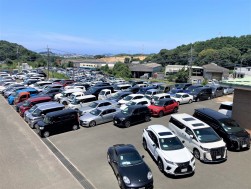 良質車が多数集まり、活発なセリで盛り上がった