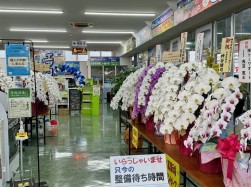 第2展示場オープンにたくさんの祝花届く