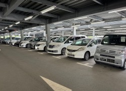 良質車が並ぶ出品ヤード