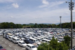 良質車が多数集まった
