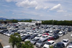 良質車が多数集まった