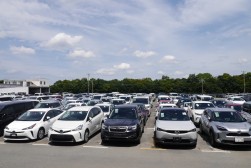 良質車が多数集まった