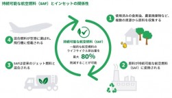 SAFとインセットの関係性