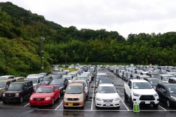 出品ヤードには良質車が多数並んだ