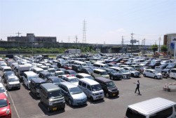 多くの良質車が集まった