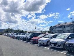 出品ヤードには良質車が多く集まった