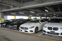 ヤナセ出品の良質車が多く揃った