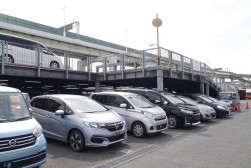 出品ヤードにも良質小売りダマも増加傾向