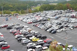 ヤードには良質車が多数集まった