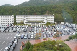 ヤードには良質車が多数集まった