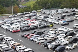 ヤードには良質車が多数集まった