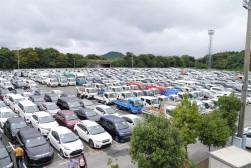 ヤードを埋める出品車