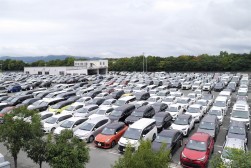 ヤードを埋める出品車