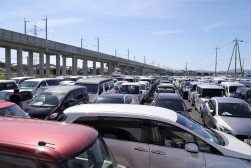 出品ヤードには所狭しと出品車が並んだ