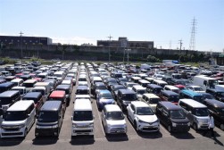 多くの良質車が集まった