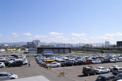 多くの良質車が集まった