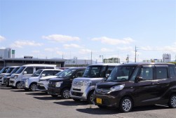 良質小売りダマも多く出品された