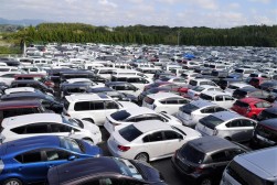 会場を埋め尽くす出品車