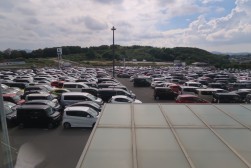 出品ヤードは多数の出品車で埋め尽くされた