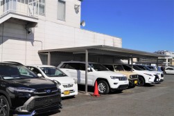 高年式車も多く集まる