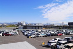 出品ヤードは多くの出品車で埋まった