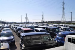５００台を超える出品車が会場敷地を埋め尽くした