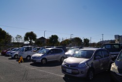 出品ヤードには４００台を超える出品車が集まった