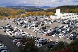 出品ヤードには良質車が数多く並んだ