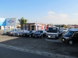 バラエティに富んだ展示車が並ぶ