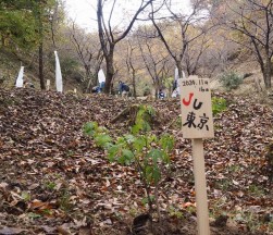 植樹祭イベントの様子