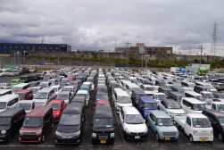 出品ヤードを埋める出品車