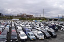 出品ヤードを埋める出品車