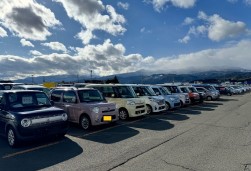 多数の良質車が並ぶ出品ヤード