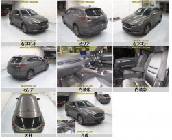 全７カットの写真を提供する