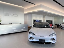 明るく清潔感のあるショールームには新車をゆったりと展示