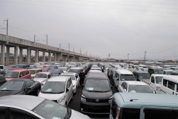 良質車が多数集まり、活発なセリ