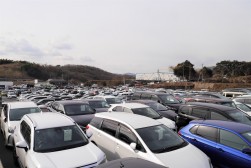 ２９０８台の出品車がヤードを埋めた