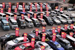 幅広い車種を展示・販売