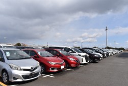 多くの上質車が集まった