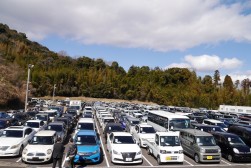 ８００台に迫る出品車が集まった