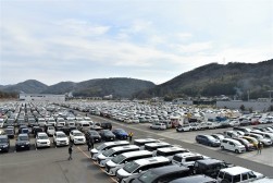 今年度最多の２４０８台が出品