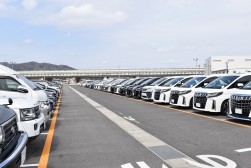 良質車が多数出品された