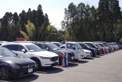 多くの良質車が並んだ