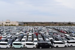 歴代最多出品６８００台を集荷