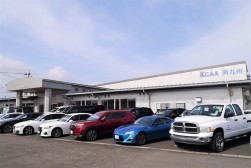 バラエティ豊かな出品車が並んだ
