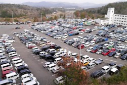 ヤードを埋める出品車