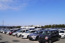 出品ヤードには多くの良質車が並んだ
