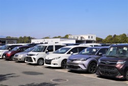 出品ヤードには多くの良質車が並んだ